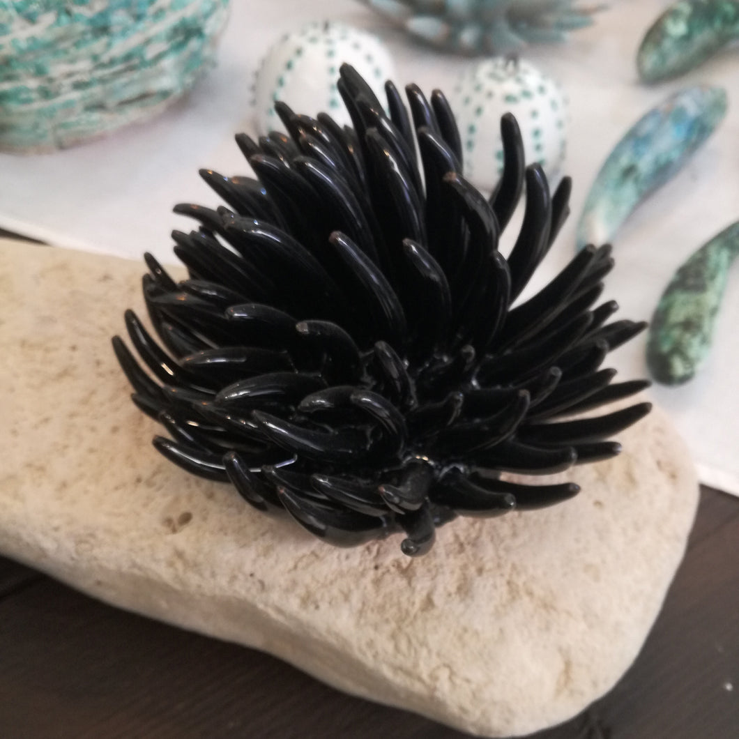 Riccio di Mare / Sea Urchin