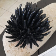 Load image into Gallery viewer, Riccio di Mare / Sea Urchin
